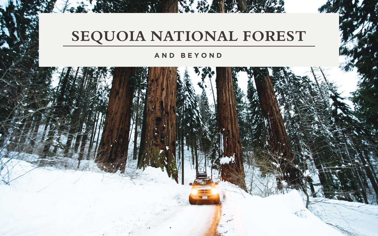 Sequoia National Park and Beyond