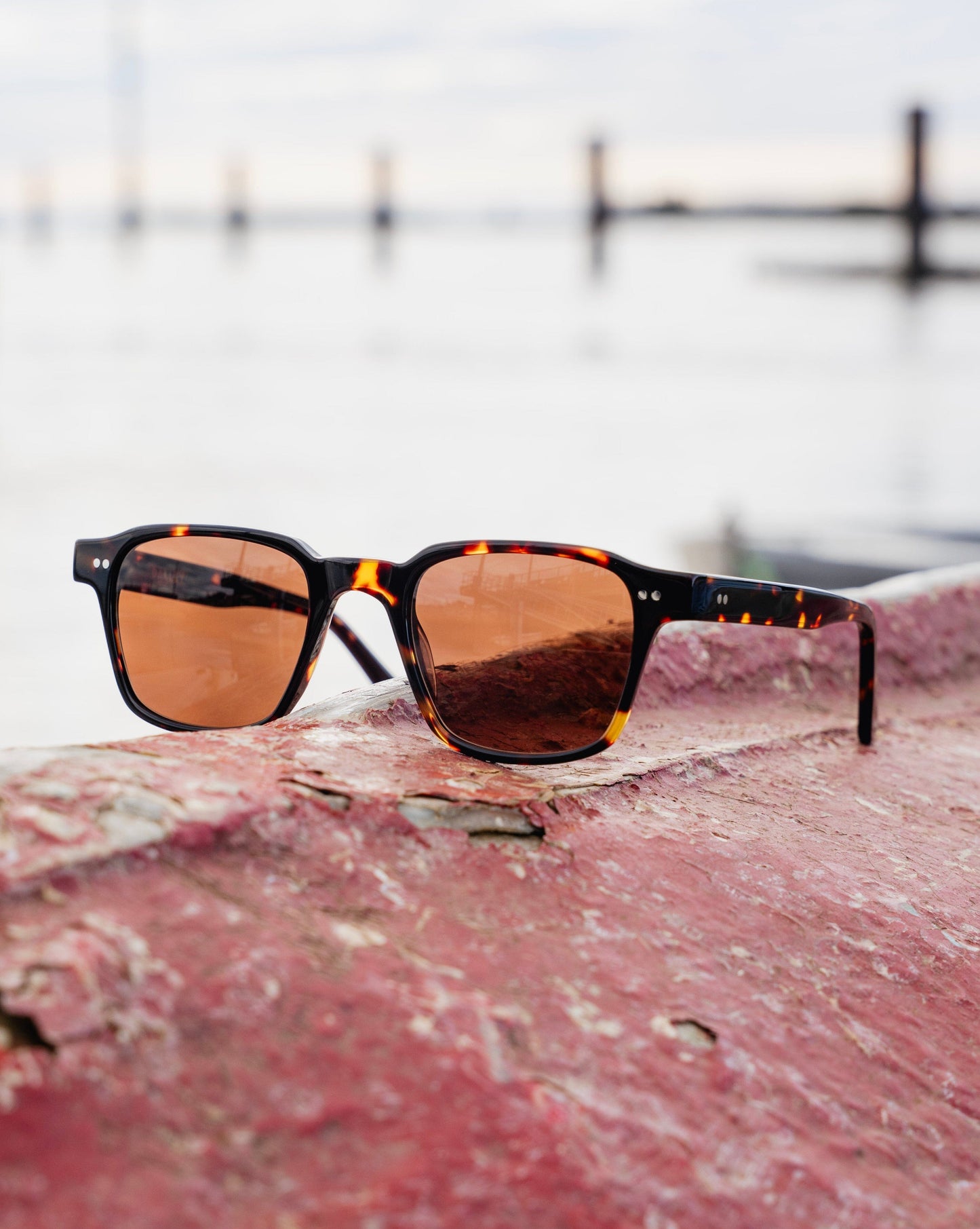 Lester Sunglasses / Tortoise Acetate - Galley Lens Bradley Mountain 